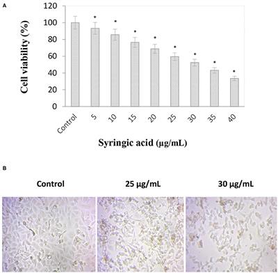 Effects of Syringic Acid on Apoptosis, Inflammation, and AKT/mTOR Signaling Pathway in Gastric Cancer Cells